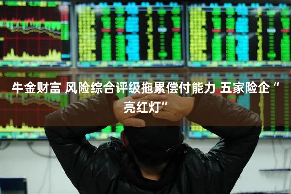 牛金财富 风险综合评级拖累偿付能力 五家险企“亮红灯”