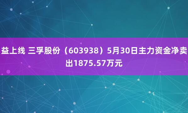 益上线 三孚股份（603938）5月30日主力资金净卖出1875.57万元