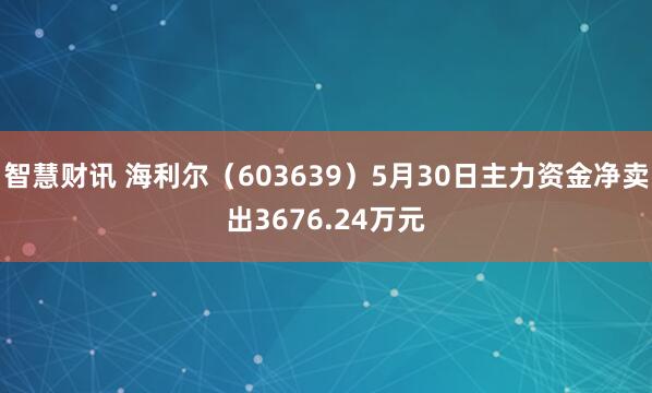 智慧财讯 海利尔（603639）5月30日主力资金净卖出3676.24万元