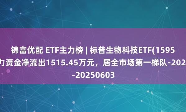 锦富优配 ETF主力榜 | 标普生物科技ETF(159502)主力资金净流出1515.45万元，居全市场第一梯队-20250603