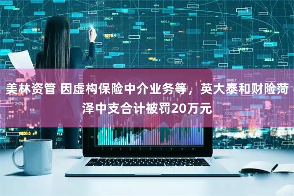 美林资管 因虚构保险中介业务等，英大泰和财险菏泽中支合计被罚20万元