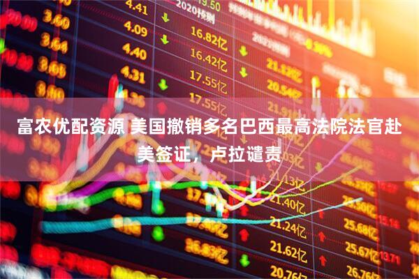 富农优配资源 美国撤销多名巴西最高法院法官赴美签证，卢拉谴责