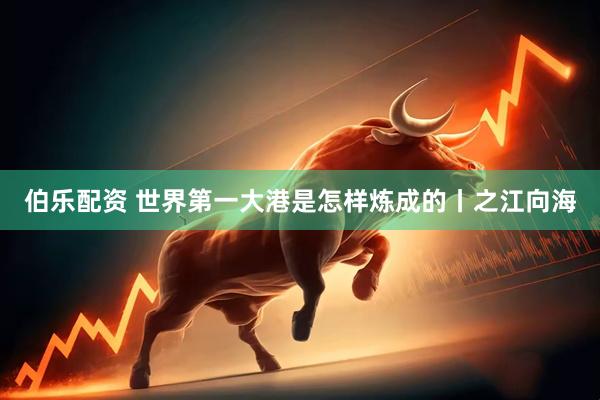 伯乐配资 世界第一大港是怎样炼成的丨之江向海