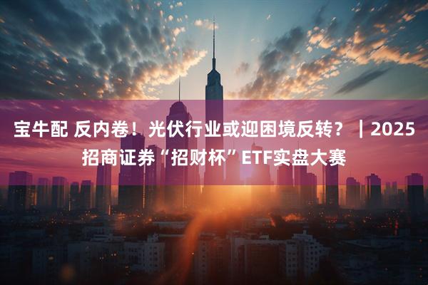 宝牛配 反内卷！光伏行业或迎困境反转？｜2025招商证券“招财杯”ETF实盘大赛