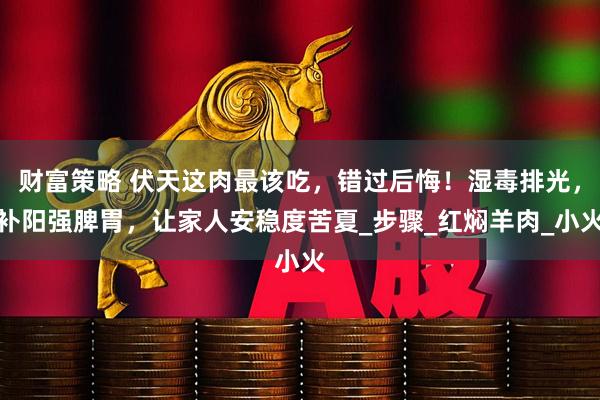 财富策略 伏天这肉最该吃，错过后悔！湿毒排光，补阳强脾胃，让家人安稳度苦夏_步骤_红焖羊肉_小火