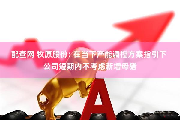 配查网 牧原股份: 在当下产能调控方案指引下 公司短期内不考虑新增母猪
