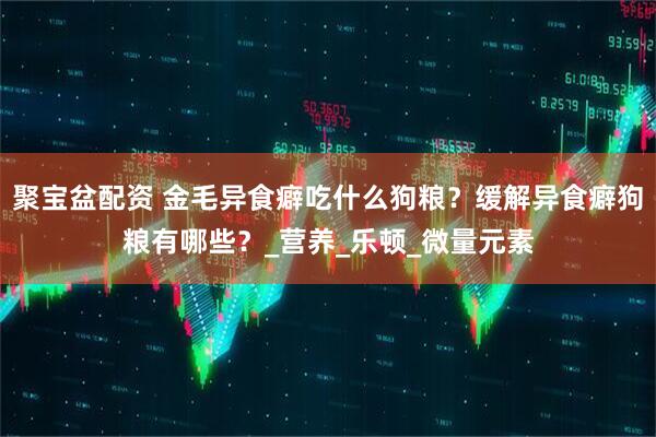 聚宝盆配资 金毛异食癖吃什么狗粮？缓解异食癖狗粮有哪些？_营养_乐顿_微量元素