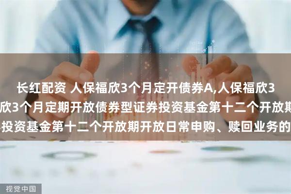 长红配资 人保福欣3个月定开债券A,人保福欣3个月定开债券C: 人保福欣3个月定期开放债券型证券投资基金第十二个开放期开放日常申购、赎回业务的公告