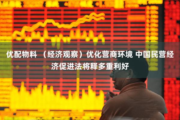 优配物料 （经济观察）优化营商环境 中国民营经济促进法将释多重利好