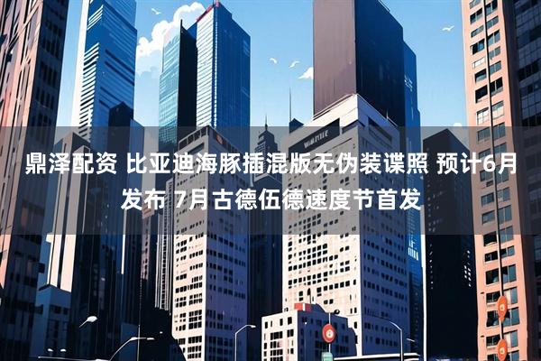 鼎泽配资 比亚迪海豚插混版无伪装谍照 预计6月发布 7月古德伍德速度节首发