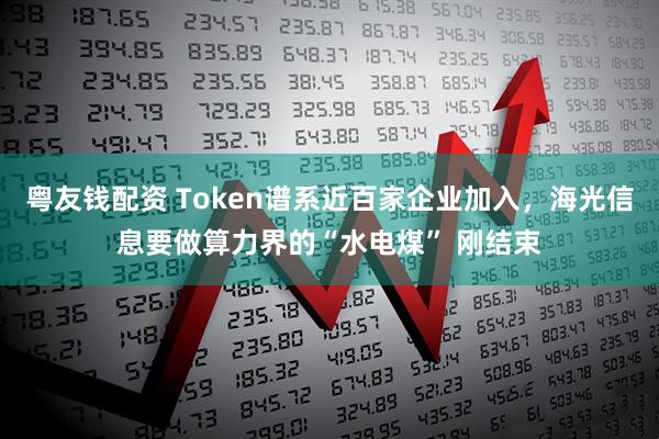 粤友钱配资 Token谱系近百家企业加入，海光信息要做算力界的“水电煤” 刚结束